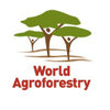 World Agroforestry Logo