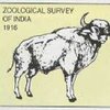 Zoological Survey of India Logo