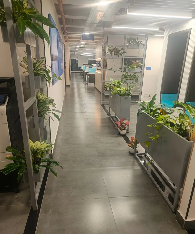 Fluence Office Photos