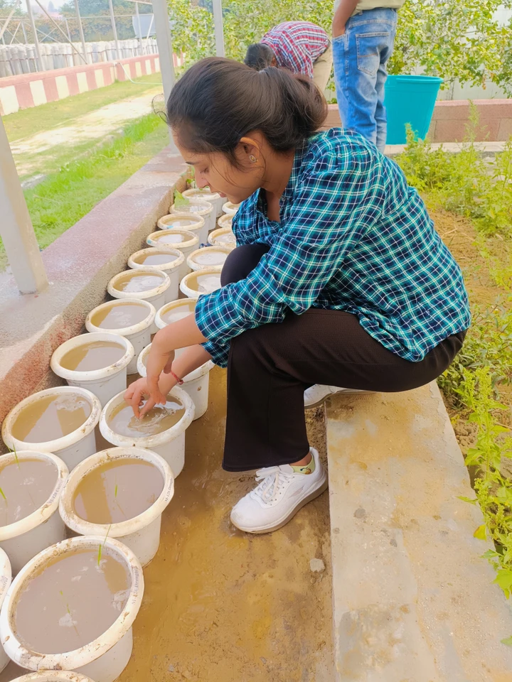 Indian Council of Agricultural Research Office Photos