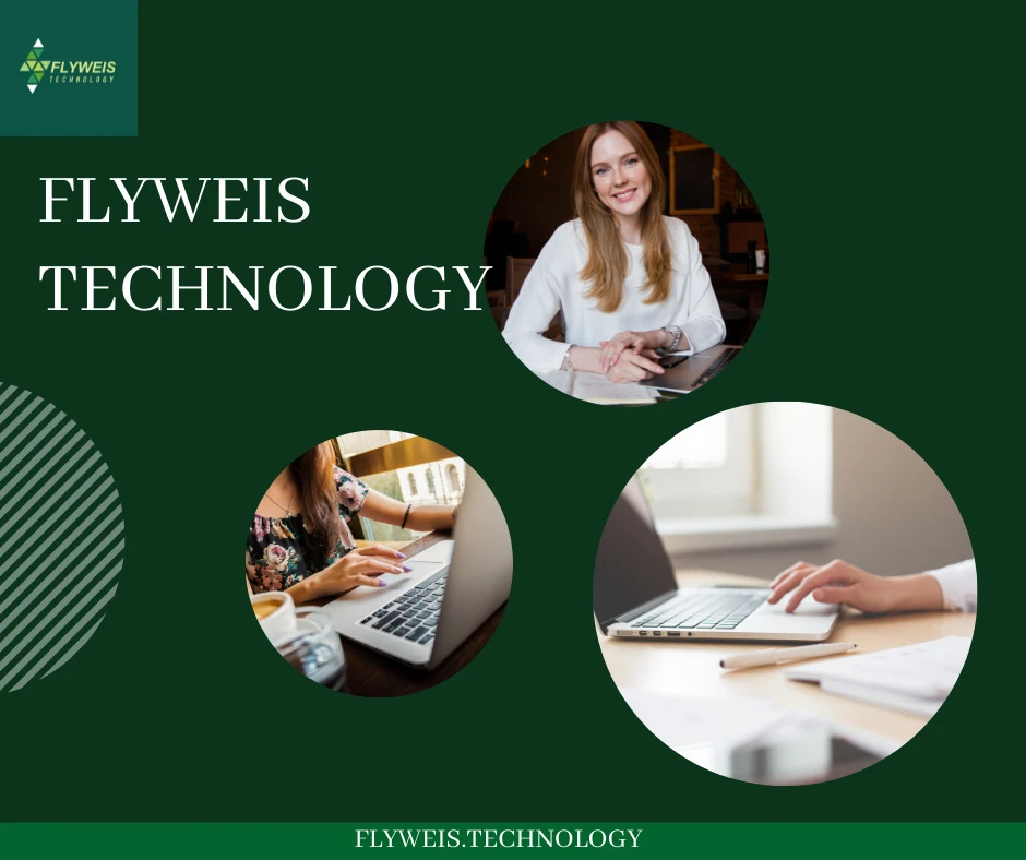 Flyweis Technology Office Photos