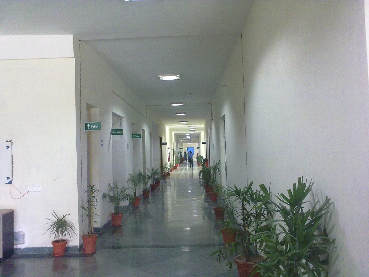 Pratap University Jaipur Office Photos