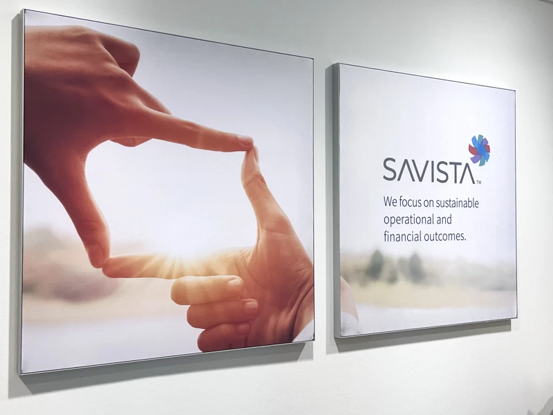 Savista Global Solutions Office Photos