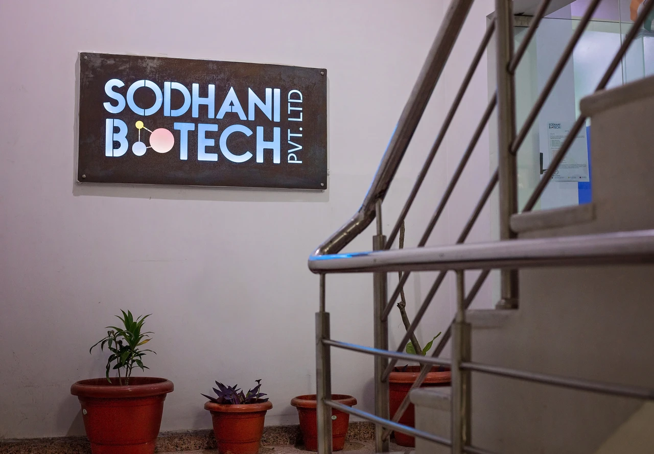 Natural Indigo Dye (by Sodhani Biotech Private Limited)