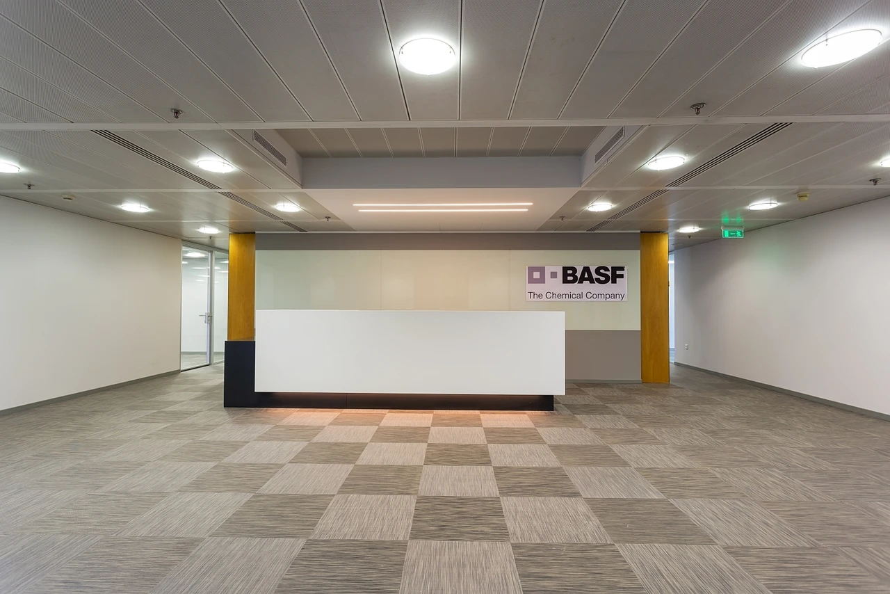 BASF Office Photos