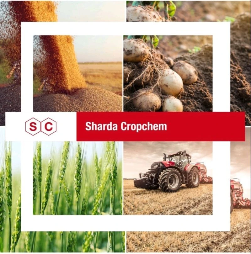 Sharda Cropchem Office Photos