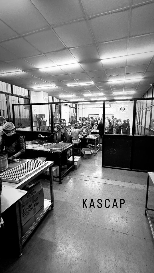 Kascap Glass Office Photos