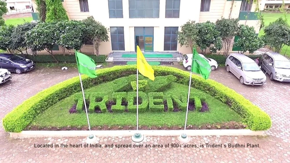 Trident Group Office Photos