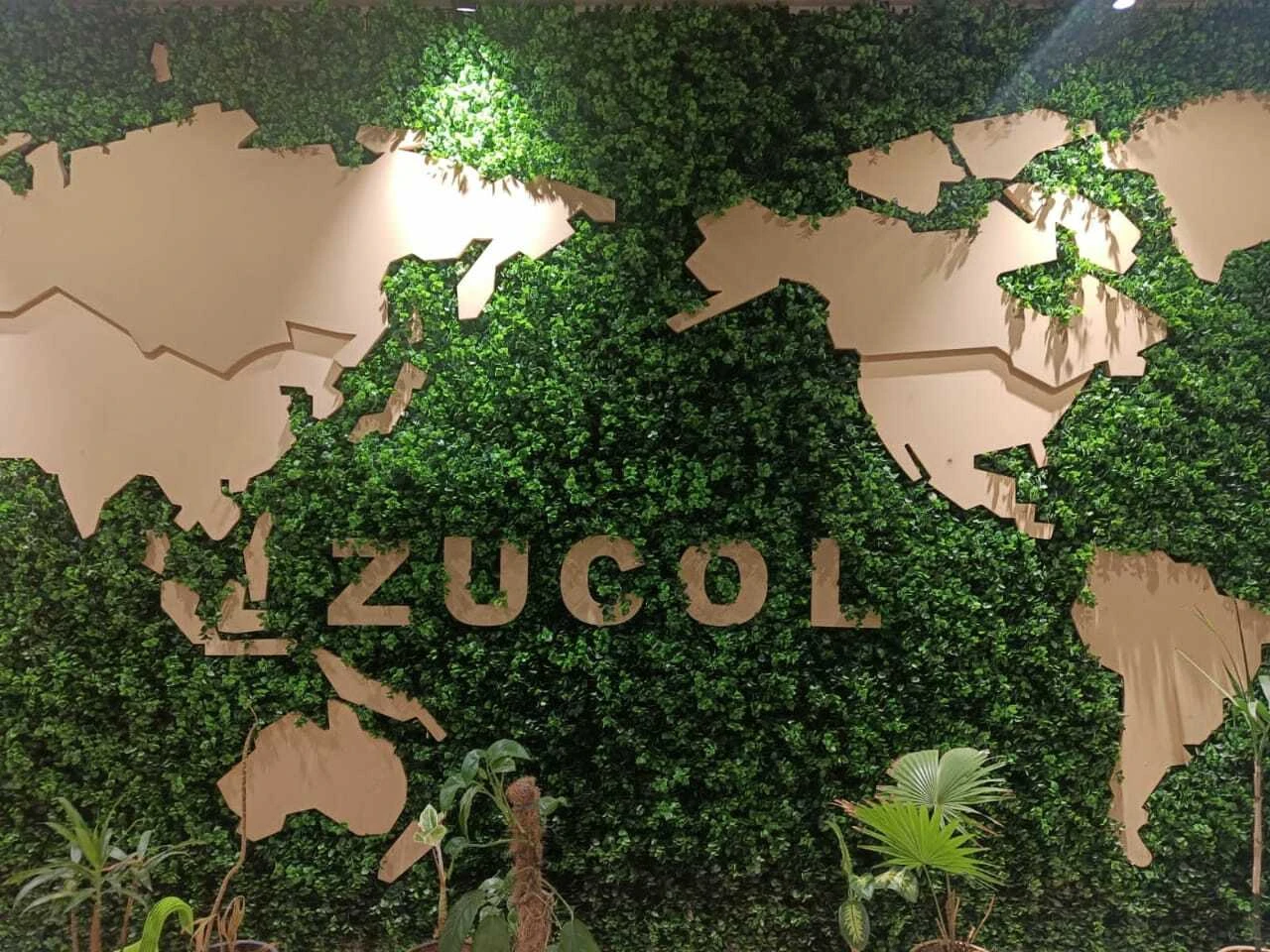 Zucol Group Office Photos