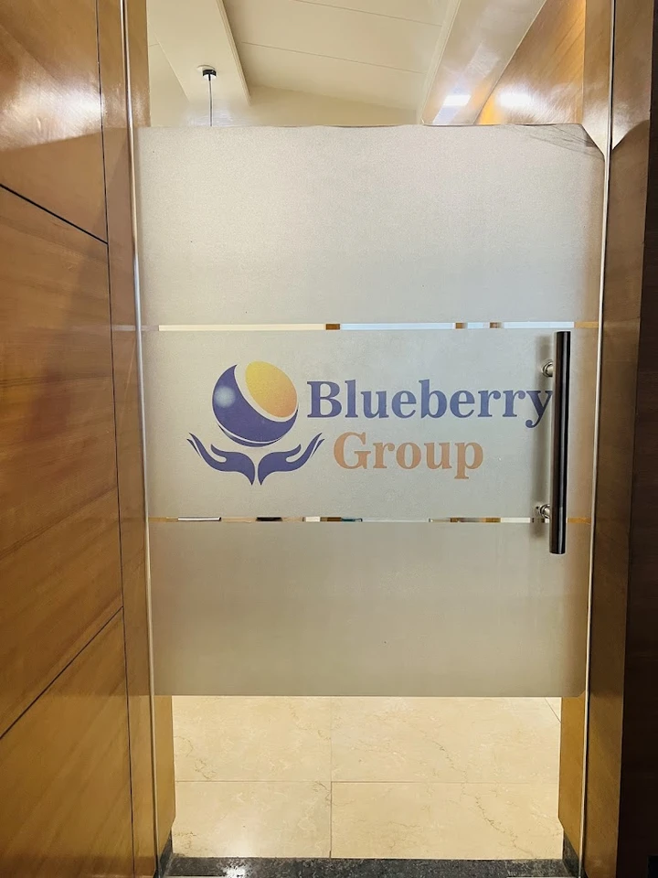 Blueberry Group Office Photos