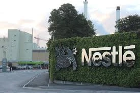 Nestle Office Photos