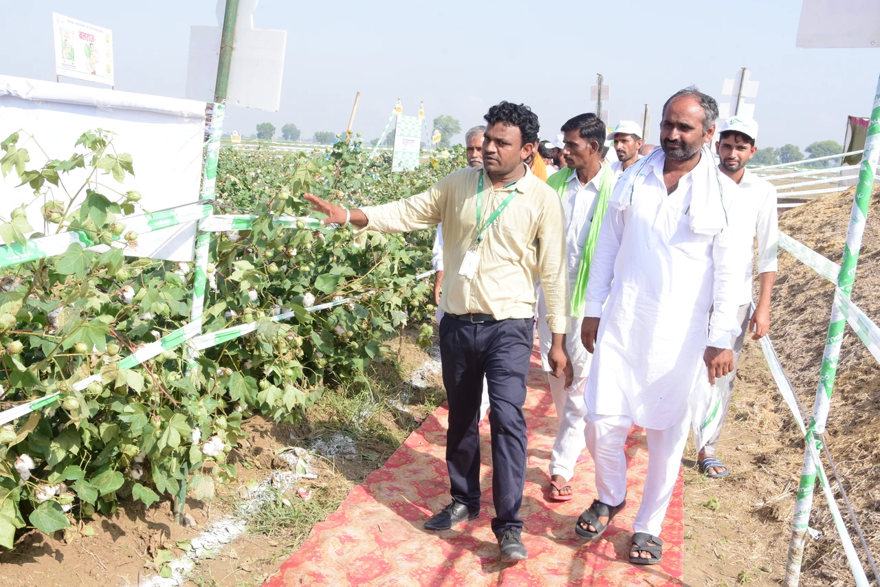 Maharashtra Hybrid Seed Company Office Photos