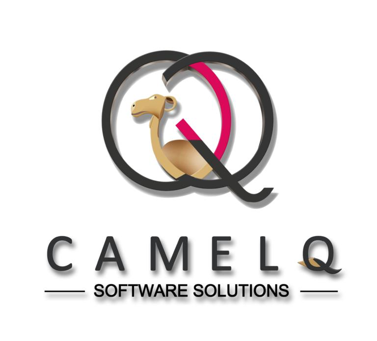 100+ CamelQ Software Solutions Interview Questions & Answers 2025 ...