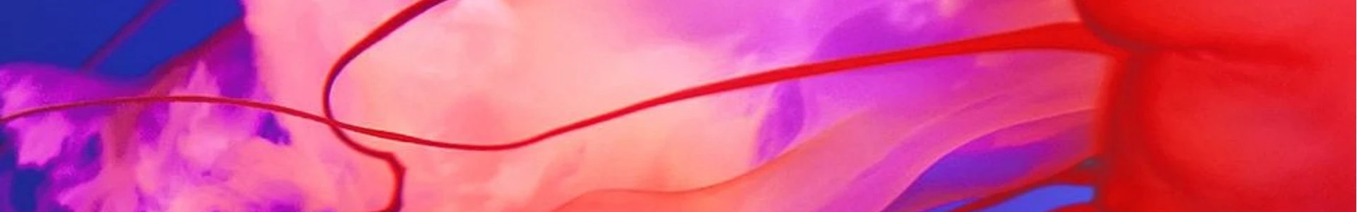 CoverPhoto