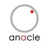 Anacle Systems India