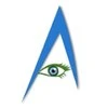 Artificial Learning Systems
