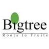 Bigtree Entertainment