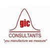 Geo Informatics Consultants