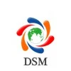 DSM Infocom logo
