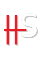 H&S SUPPLY CHAIN SERVICES logo