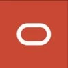 Oracle Financial Services Software logo