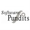 Software Pundits