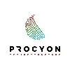 Procyon TechnoStructure