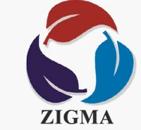 The Zigma Technologies Location India