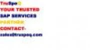 Truspeq Consulting