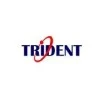 Trident Information Systems
