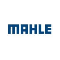 Mahle Anand Thermal Systems  logo