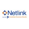 Netlink Software logo