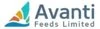 Avanti Feeds logo