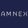 Amnex Infotechnologies logo