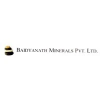 Baidyanath Minerals Pvt Ltd logo