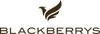 Blackberrys logo