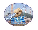 BNK power solution Pvt Ltd logo