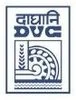 Damodar Valley Corporation logo