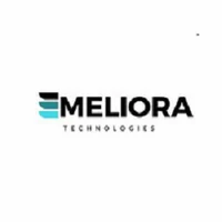 Digital Meliora Technologies logo