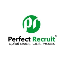 Perfect Recruits logo