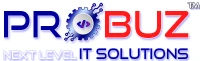 Probuz Technologies logo