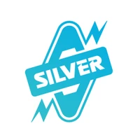 SILVER PUMPS & MOTORS logo