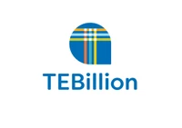 TEBillion Systems Pvt Ltd. logo