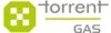 Torrent Gas  logo