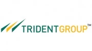 Trident Group logo